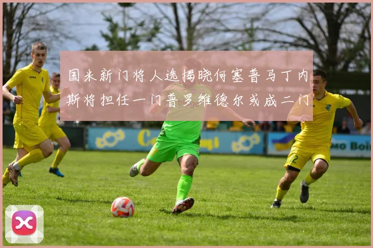 国米新门将人选揭晓何塞普马丁内斯将担任一门普罗维德尔或成二门