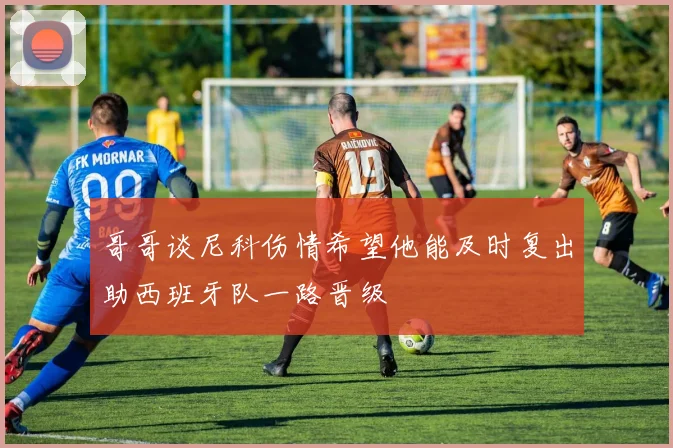 哥哥谈尼科伤情希望他能及时复出助西班牙队一路晋级