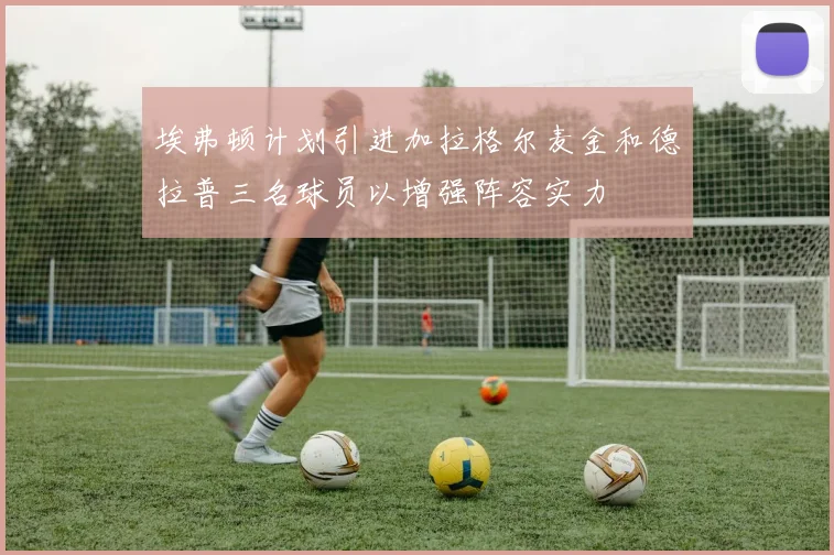 埃弗顿计划引进加拉格尔麦金和德拉普三名球员以增强阵容实力