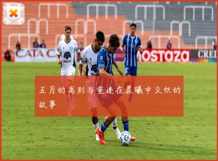 五月的离别与重逢在晨曦中交织的故事